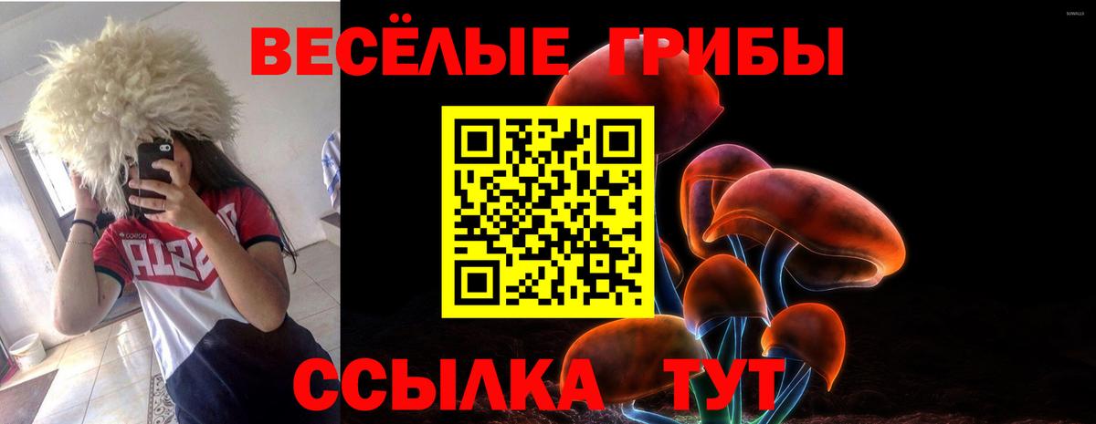 Галлюциногенные грибы Magic Shrooms Элиста